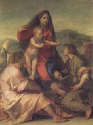 Andrea del Sarto The Madonna of the Stair (san05) china oil painting reproduction